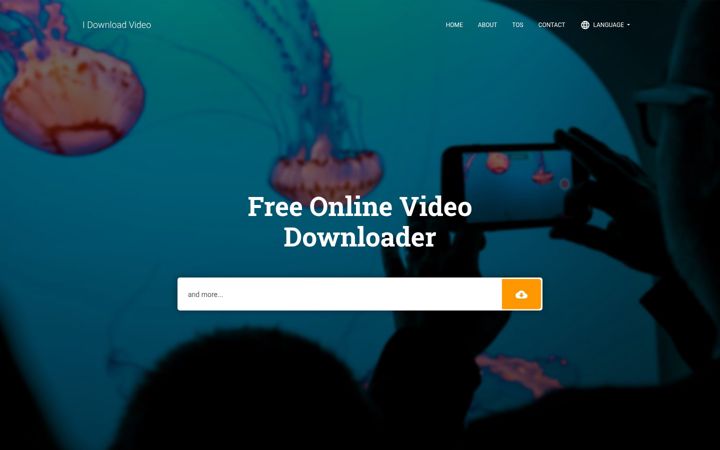 Screenshot of idownloadvideo.com