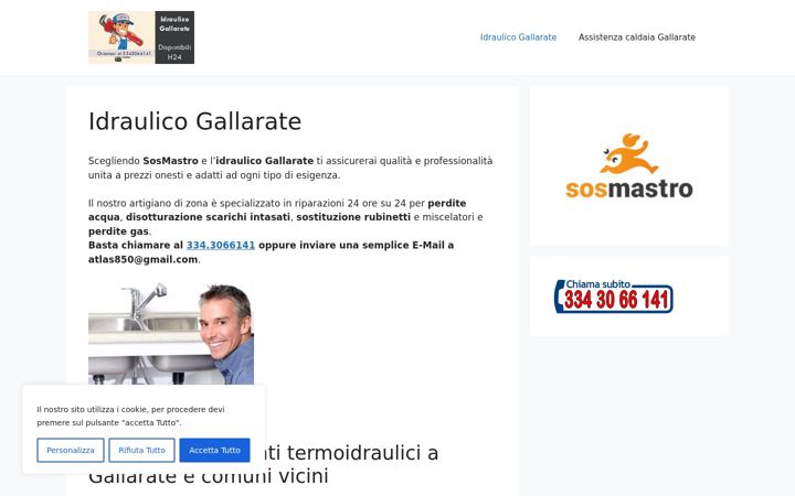 Screenshot of idrauicogallarate.eu