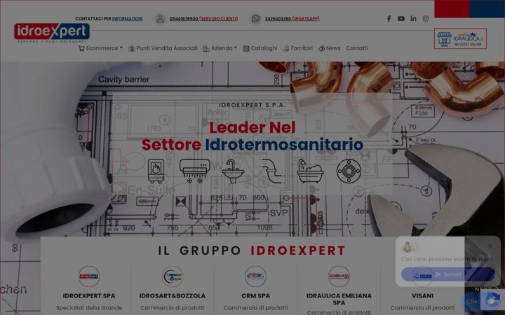 Screenshot of idroexpert.com