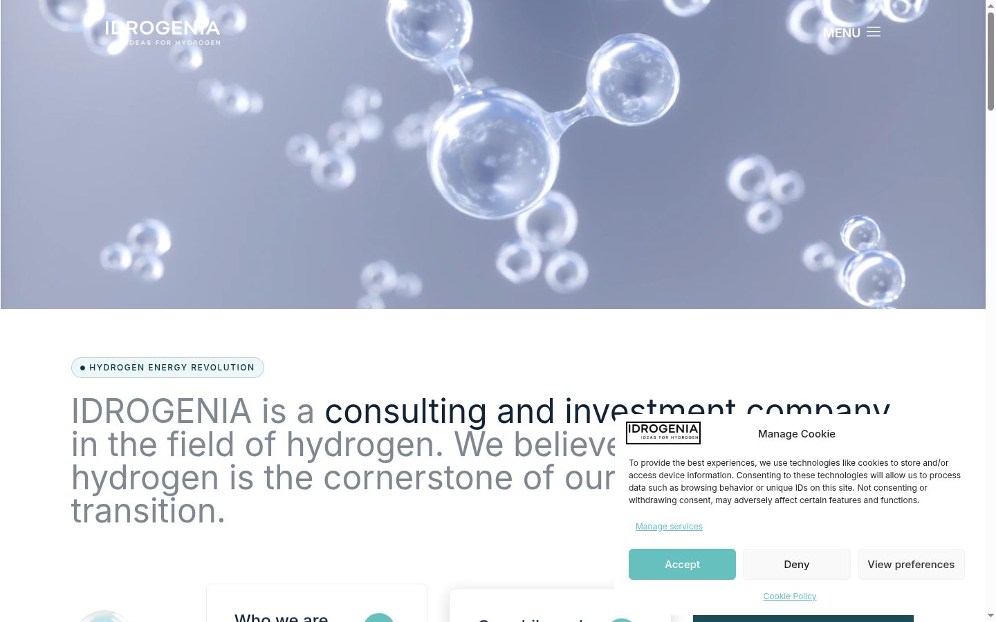 Screenshot of the consent banner shown before any interaction