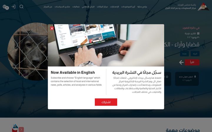 Screenshot of idsc.gov.eg