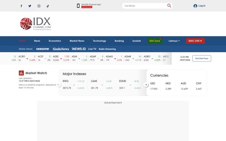 Snímek obrazovky idxchannel.com