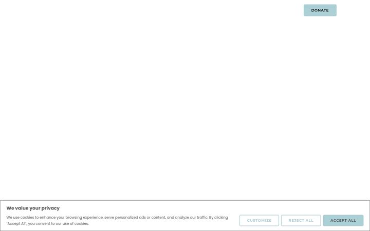 Screenshot of idyllichousing.org