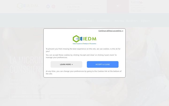 Screenshot of iedm.asso.fr