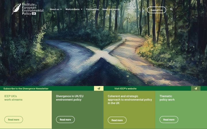 Screenshot of ieep.uk
