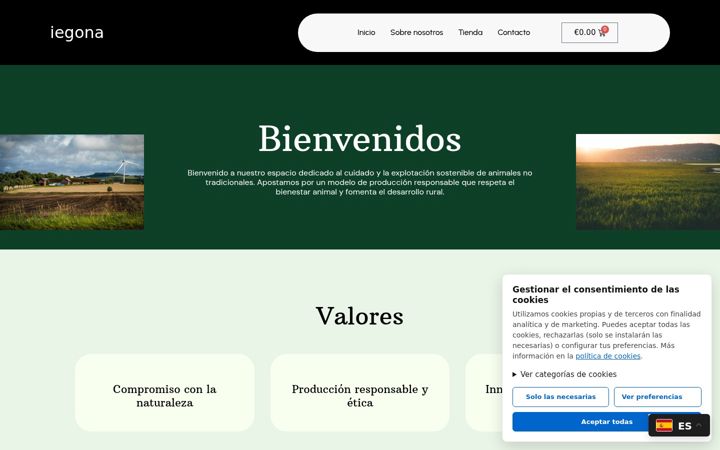 Screenshot of iegona.com