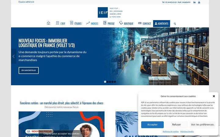 Screenshot of ieif.fr