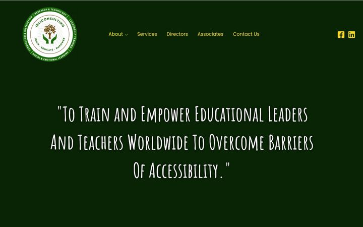 Screenshot of ieliconsulting.com