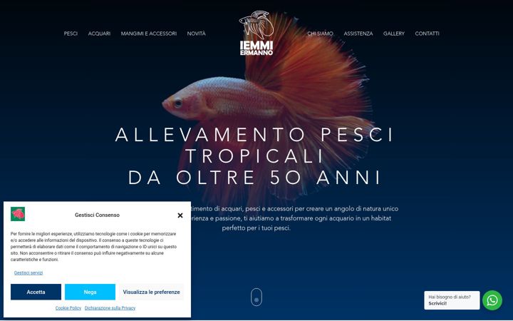 Screenshot of iemmiermannoacquari.com