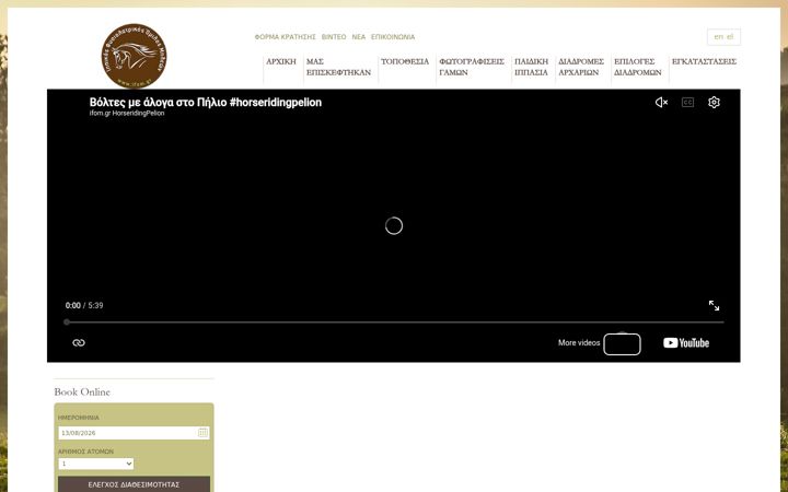 Screenshot of ifom.gr