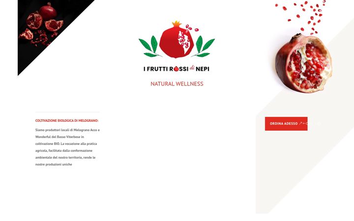 Screenshot of ifruttirossidinepi.it