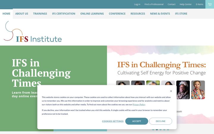 Screenshot of ifs-institute.com