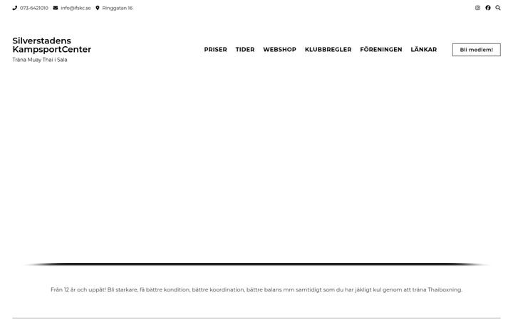 Screenshot of ifskc.se