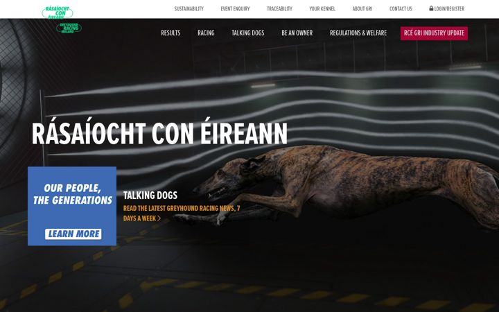 Screenshot of igb.ie