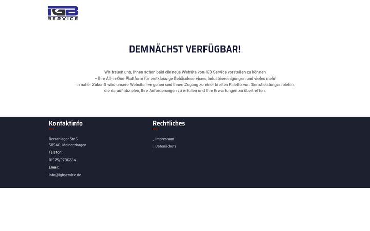Skærmbillede af igbservice.de