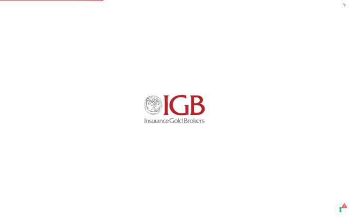 Screenshot of igbsrl.it