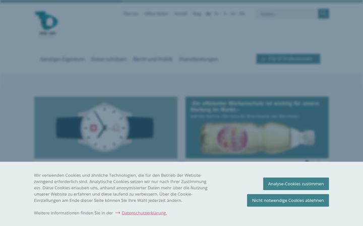 Screenshot of ige.ch