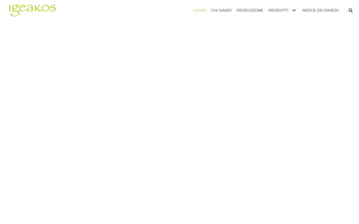 Screenshot of igeakos.it