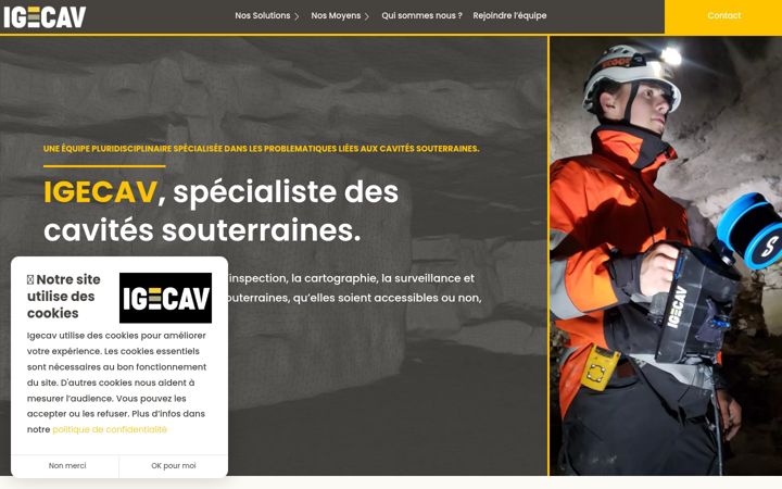 Screenshot of igecav.fr