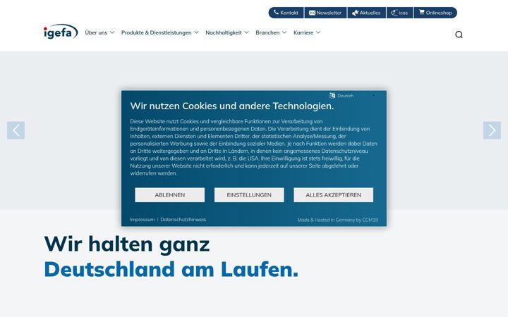 Screenshot of igefa-effekt.de
