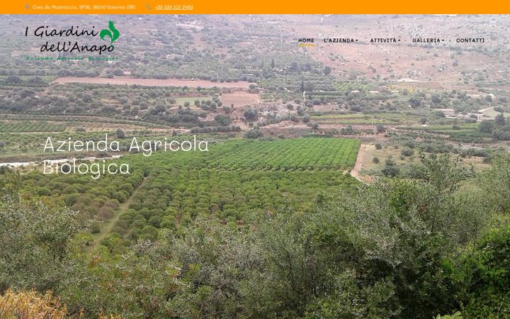 Screenshot of igiardinidellanapo.com