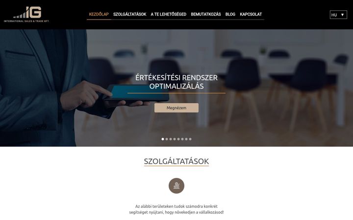 Screenshot of igintsales.com