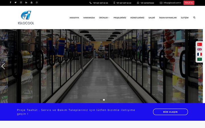 Screenshot of iglocool.com.tr