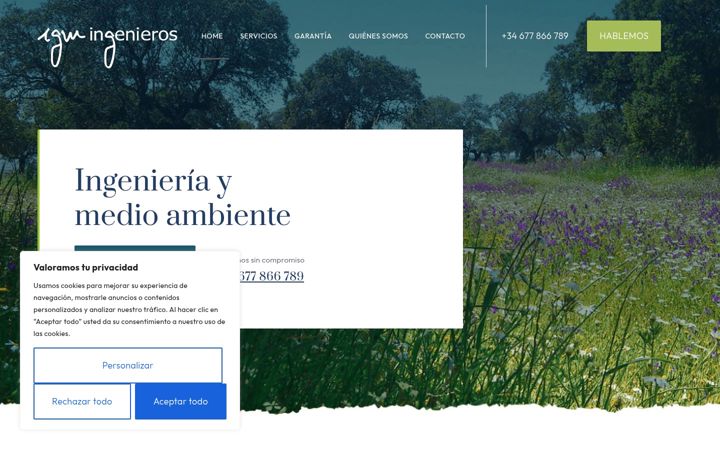 Screenshot of igmingenieros.com