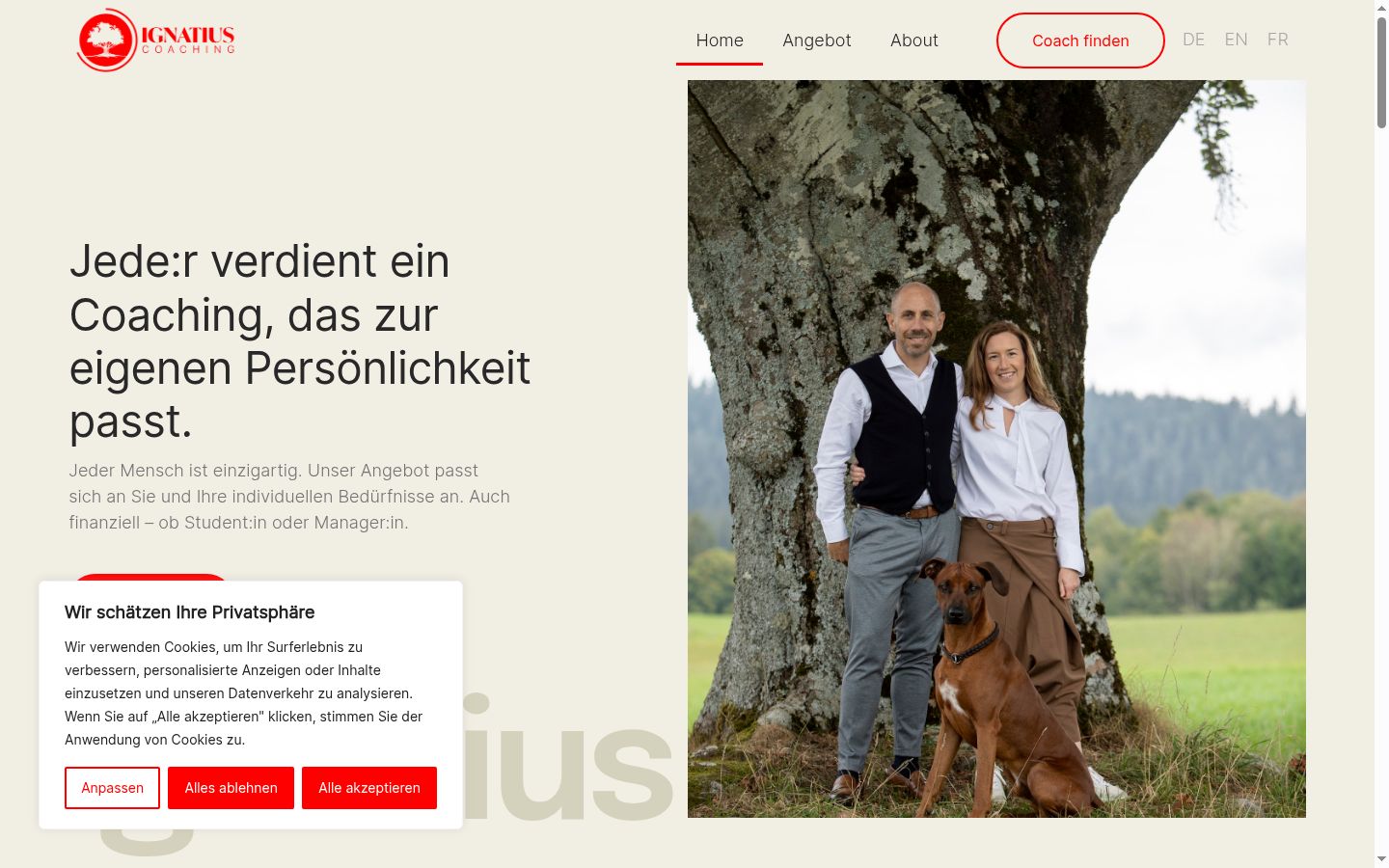 Screenshot of the consent banner shown before any interaction