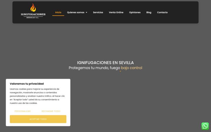 Screenshot of ignifugacionesibericas.com
