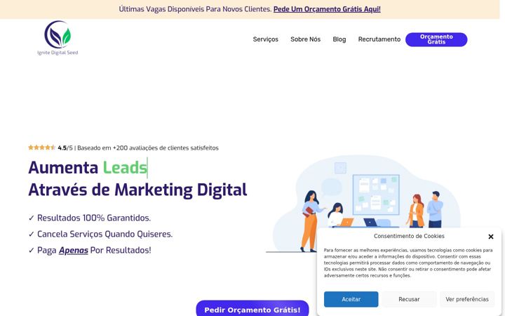 Screenshot of ignitedigitalseed.com