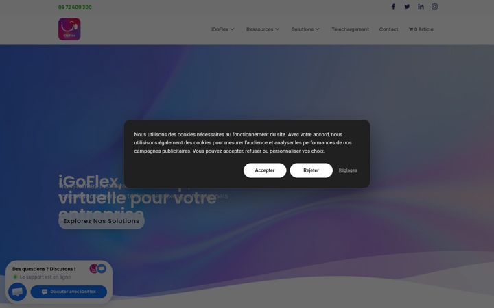 Screenshot of igoflex.com