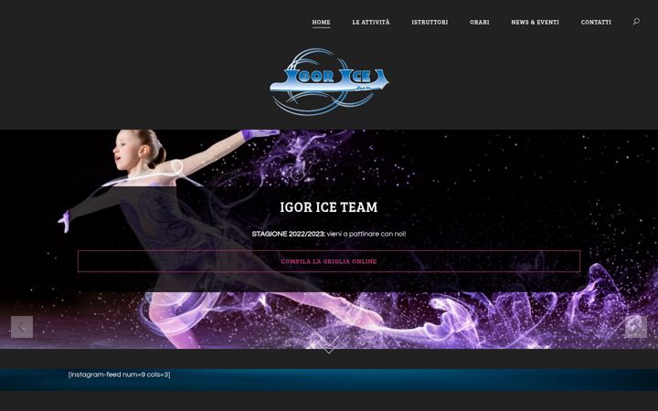 Snímek obrazovky igoriceteam.com