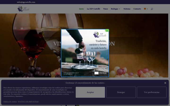 Screenshot of igpcastello.com
