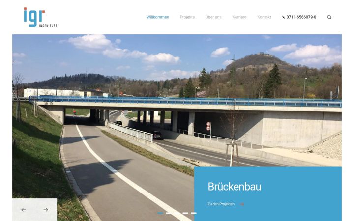 Screenshot of igr-ing.de