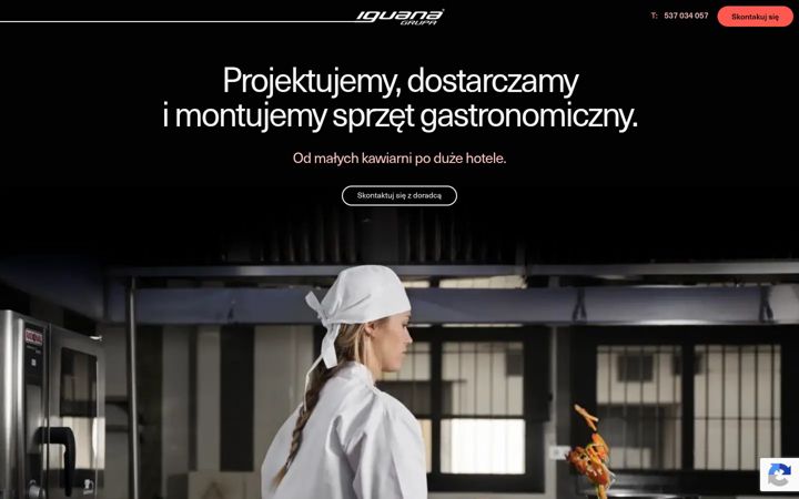 Screenshot of iguana.com.pl
