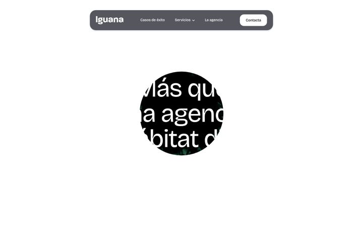 Screenshot of iguanadigital.es