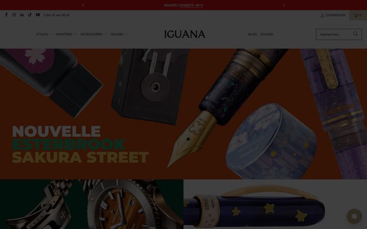 Screenshot of iguanasell.fr
