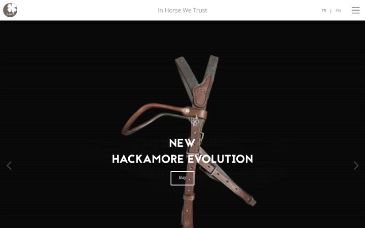 Screenshot of ihwt.fr
