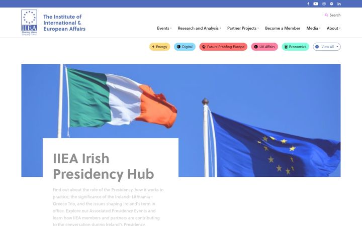 Screenshot of iiea.com