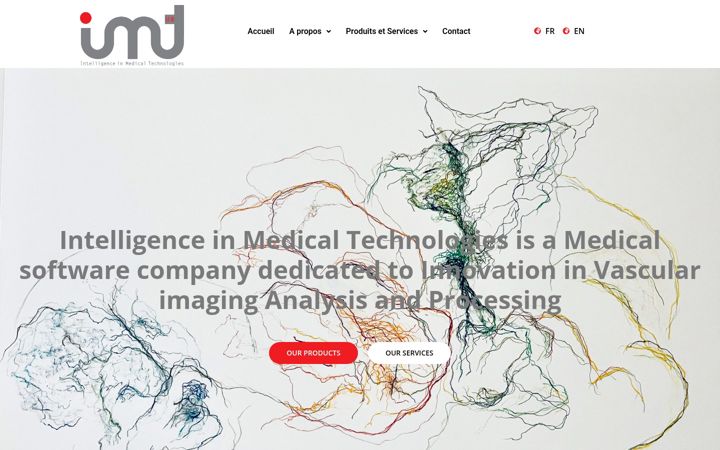 Screenshot of iimt.fr