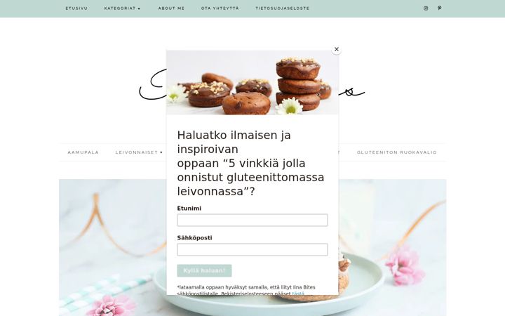 Screenshot of iinabites.com