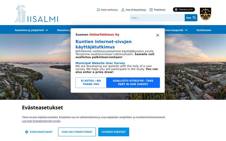 Screenshot of iisalmi.fi
