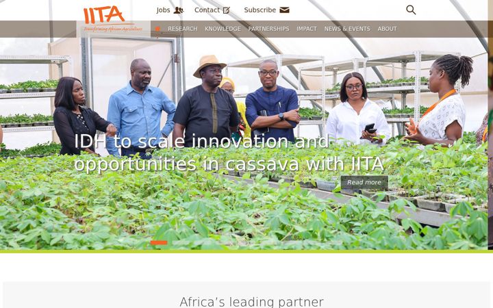 Screenshot of iita.org