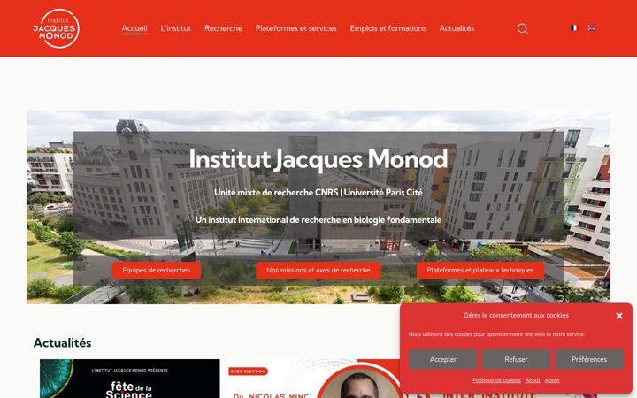 Screenshot of ijm.fr