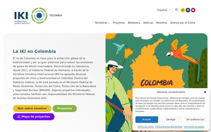 Screenshot of ikicolombia.com