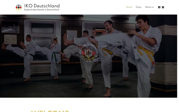 Screenshot of ikok-d.de