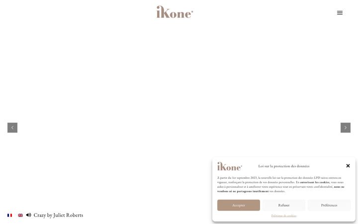 Skærmbillede af ikone.com