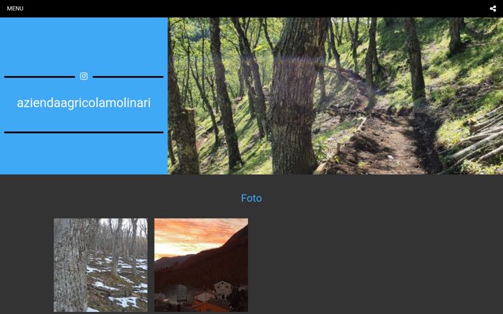 Screenshot of il-castagneto.it