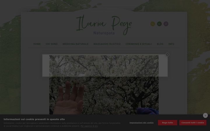 Screenshot of ilariapegenaturopata.it